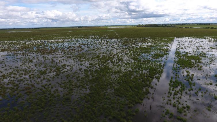 Se declaró zona de desastre agropecuario a las explotaciones agropecuarias  
