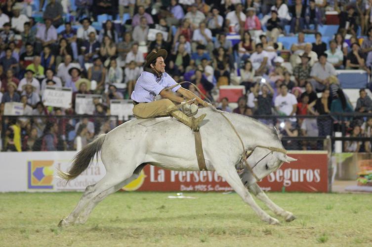 Un caballo murió en el Festival de Jesús María y se desató la polémica