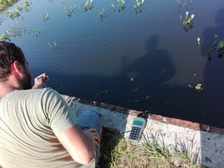 En Rincón monitorean el estado del río ante la mortandad de peces