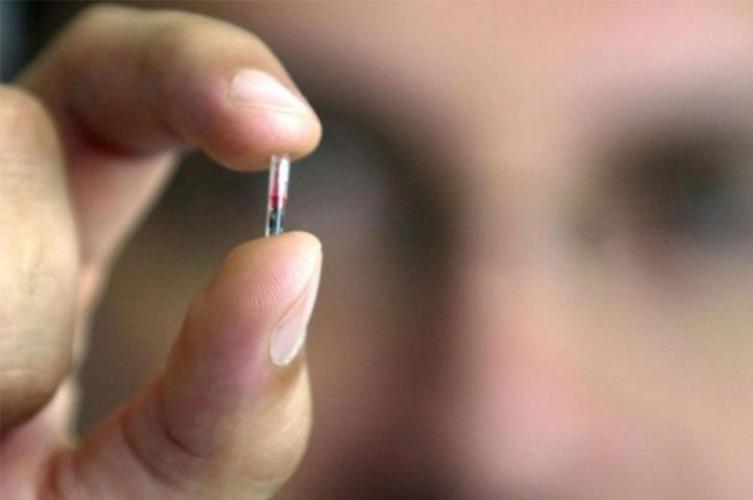 ¿Qué es el chip sexual y cómo ayuda a mejorar el rendimiento?