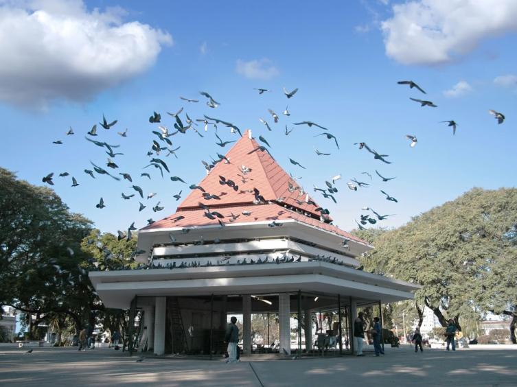 Anticonceptivos para controlar la superpoblación de palomas