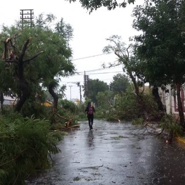 Fuerte tormenta de viento, lluvia y granizo 