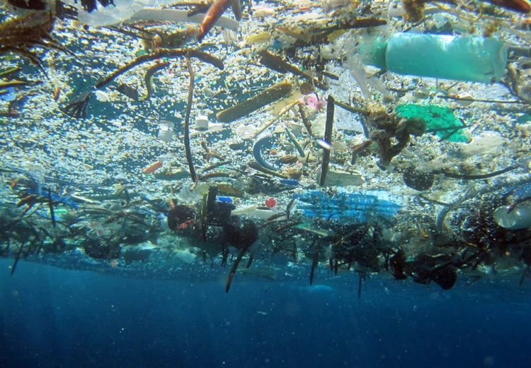 Los salvadores del mar que recolectan plástico y residuos de los océanos