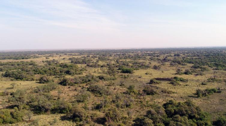 Transferencia de fondos de la ley de Bosques Nativos 