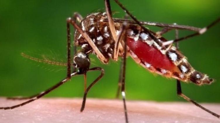 En una semana, 42 casos confirmados