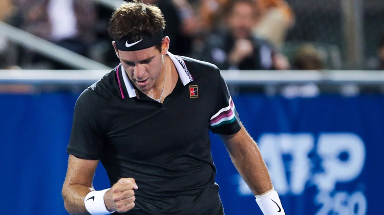 El nuevo parte médico de Juan Martín del Potro que ilusiona a sus fanáticos