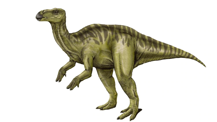 Descubrieron en Argentina una nueva especie de dinosaurio herbívoro