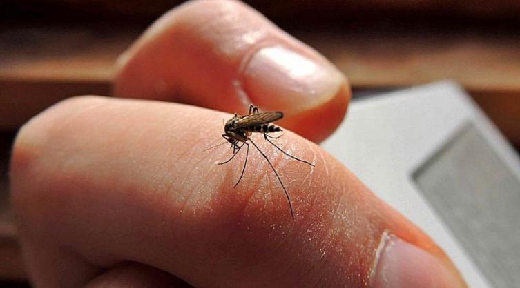 Confirman 287 casos de dengue en la ciudad de Santa Fe