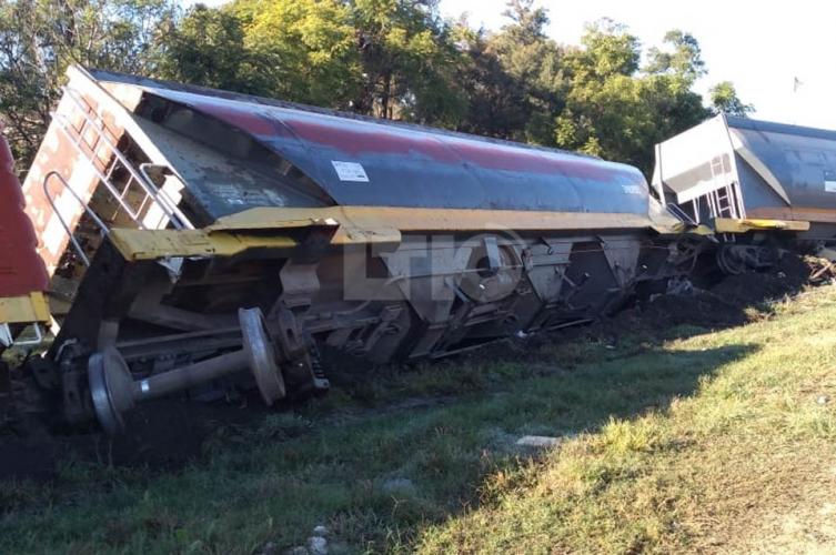 Descarriló un tren del Belgrano Cargas