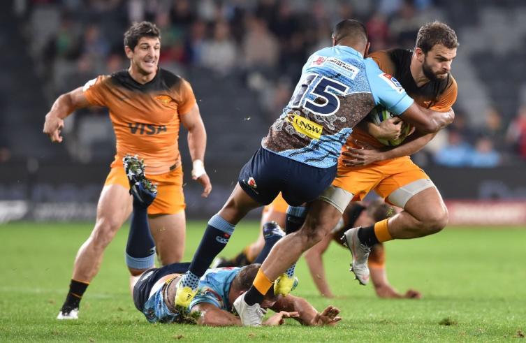 Por algo ladran, Jaguares