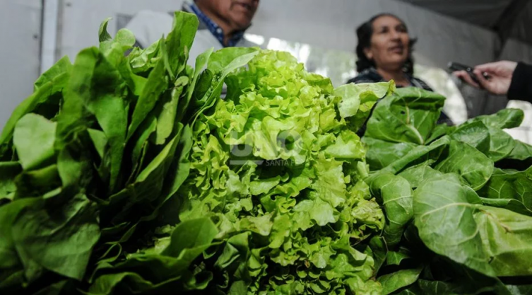 El mercado agroecológico cobra popularidad en Santa Fe