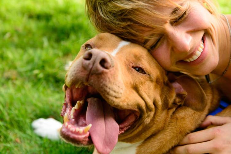 Descubren que le podés traspasar tu estrés a tu mascota