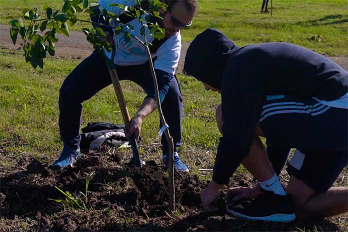 Plantarán árboles en Avenida Aristóbulo del Valle