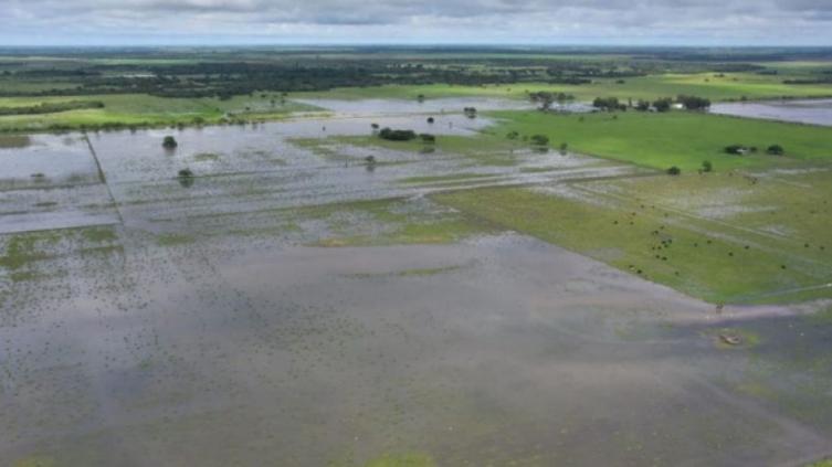 El Gobierno declaró la emergencia agropecuaria en Formosa, Córdoba y Chaco