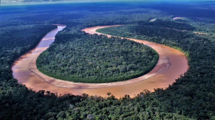 Amazonia: en un año, creció 60% la deforestación