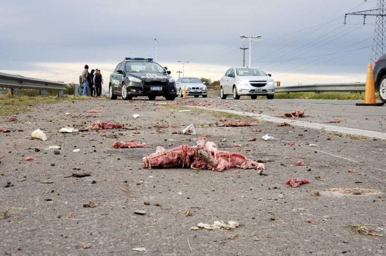 Se desfondó un camión con medias reses de cerdo y la gente se las llevó a la casa