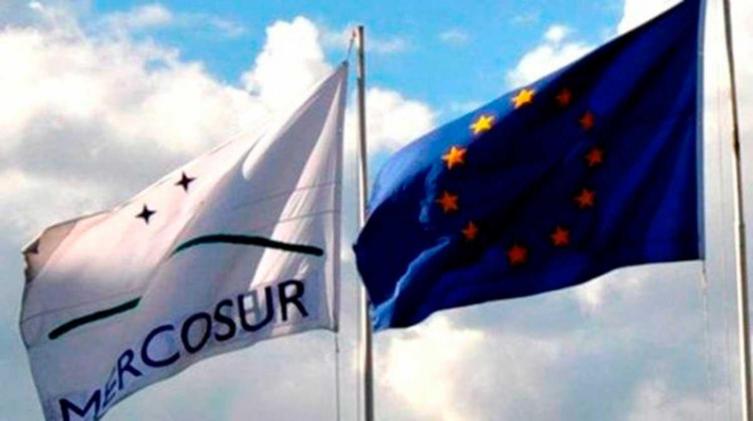Cumbre del Mercosur: los presidentes participan del plenario de mandatarios