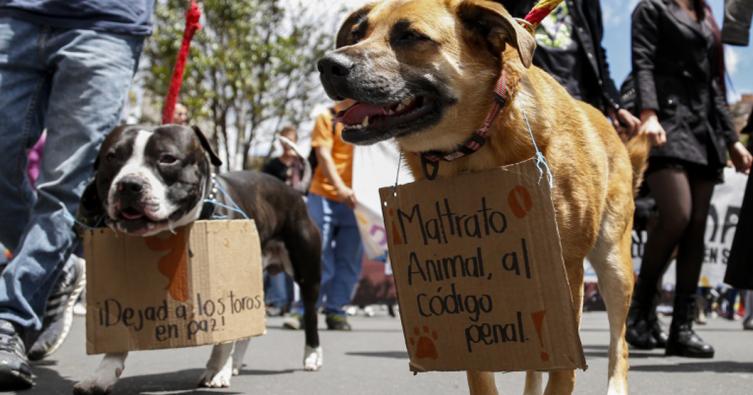 Santa Fe marcha contra el maltrato animal