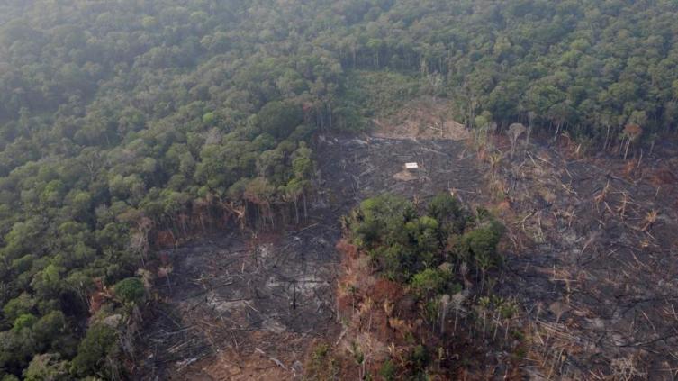 El Municipio realiza acciones de concientización sobre protección forestal