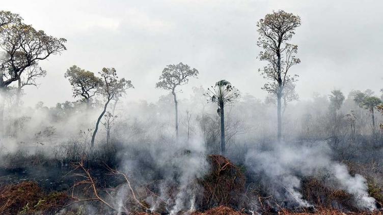 Suspenden la quema de campos ante los incendios en la Amazonia
