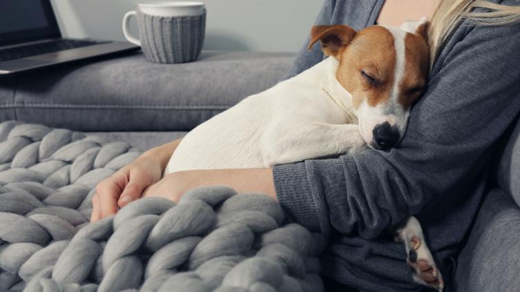 Tener un perro hace bien al corazón
