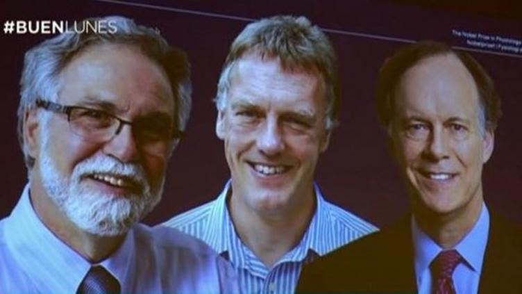Nobel de Medicina 2019 para dos estadounidenses y un británico por su investigación celular