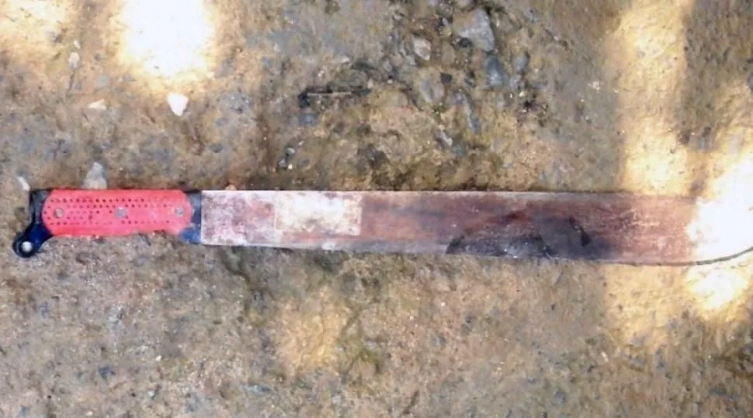 Salteño descubrió que su papá violó a su hijita y lo mató a machetazos