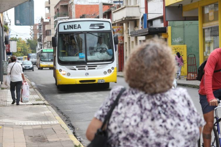 El transporte público de colectivos será gratuito este domingo