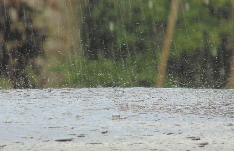 Clima: así estará el tiempo este fin de semana