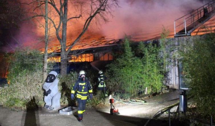 Mueren al menos 30 animales por un incendio en un zoo alemán