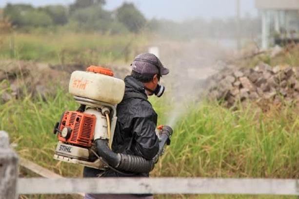 La Municipalidad continúa con las tareas de fumigación