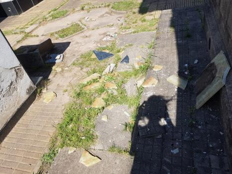 Denuncian vandalismo en el Cementerio Municipal