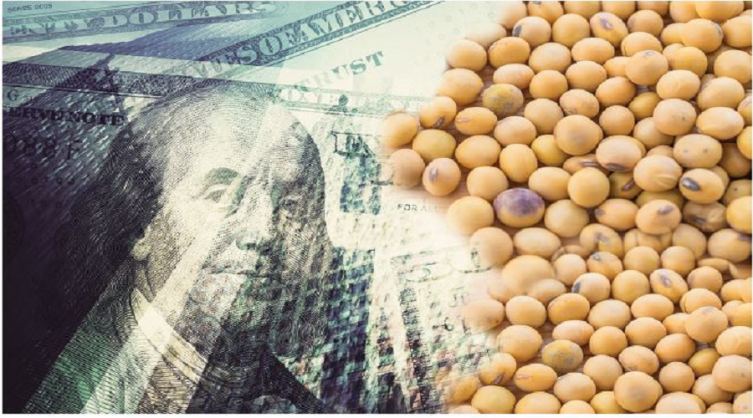 En 2020 ingresarían US$ 26.300 millones por exportaciones del agro