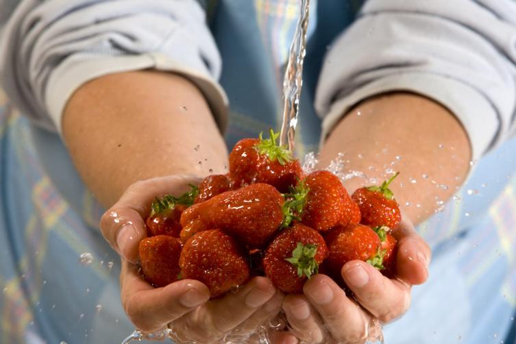Qué precauciones tener con los alimentos en verano