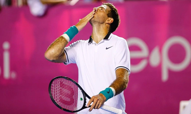 Confianza y advertencias de los grandes del tenis ante un posible regreso de Del Potro