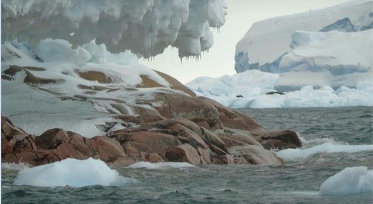 Por el deshielo, apareció en la Antártida una isla que no estaba en los mapas