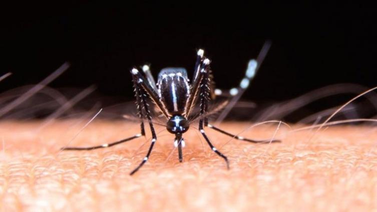Nueve casos de dengue en Reconquista