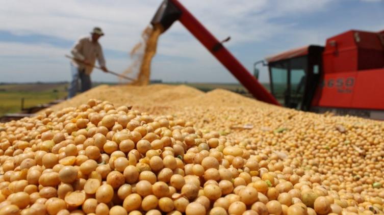 Retenciones: el campo lanza un paro de cuatro días