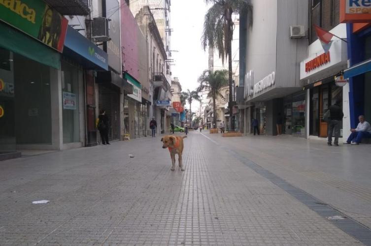 Por el coronavirus comercio local toma medidas preventivas