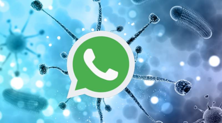 Whatsapp: la OMS lanzó la versión en español de la alerta sanitaria 