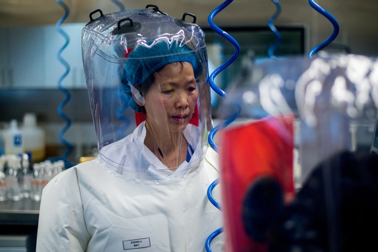 Una prestigiosa viróloga china advirtió de un posible virus ligado a los murciélagos casi un año antes de que se detectara el COVID-19, pero fue silenciada