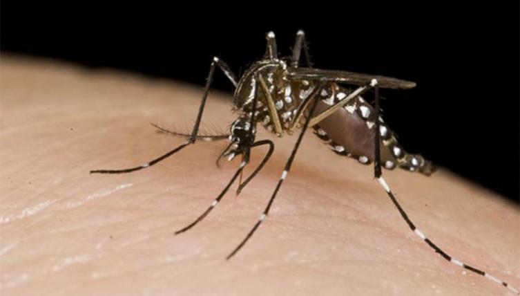“Hoy la provincia es una hervidero de dengue”