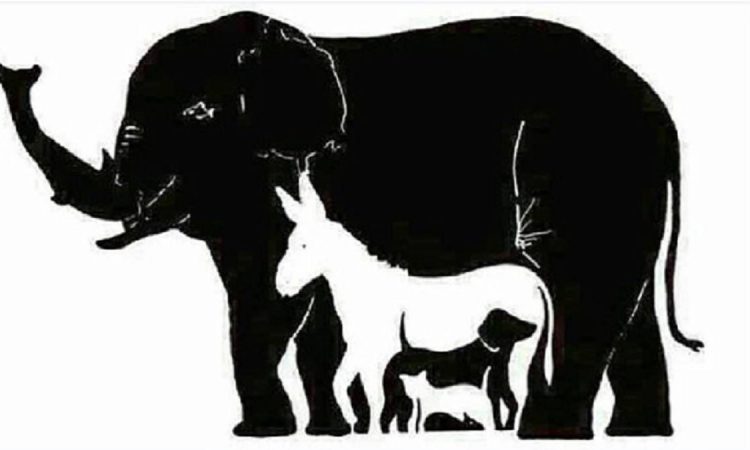 Encontrá a los 13 animales: el reto visual que nadie puede resolver