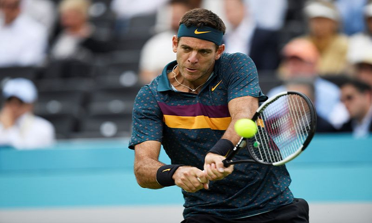 Del Potro tomó una decisión clave para su carrera en medio de la cuarentena