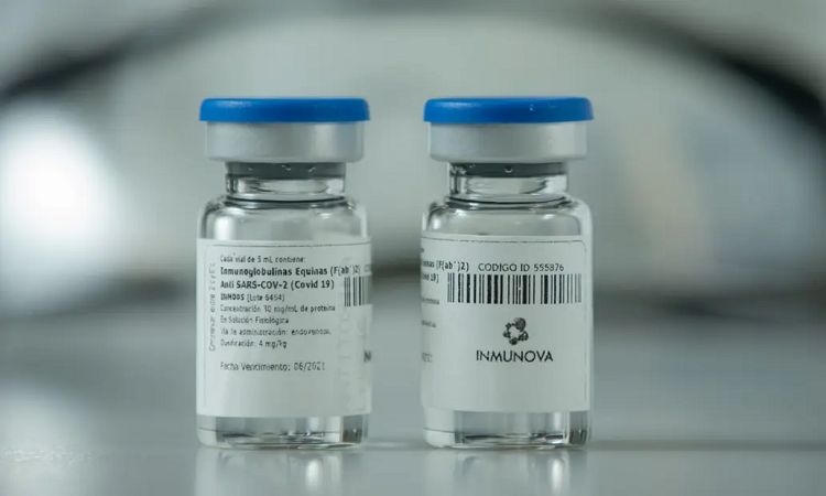 Alentadores resultados preliminares de un suero anti-Covid creado por argentinos