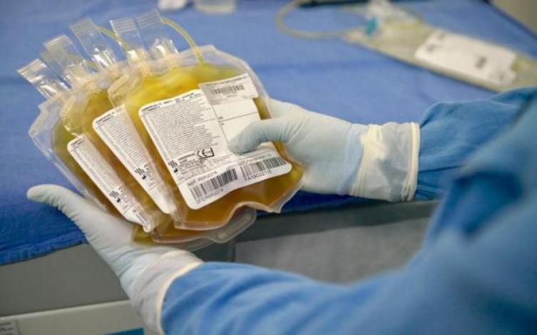 Diputados aprobó el proyecto que crea una campaña de donación de plasma
