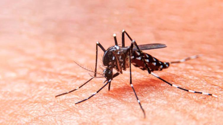 La provincia creó una comisión interjurisdiccional contra el dengue