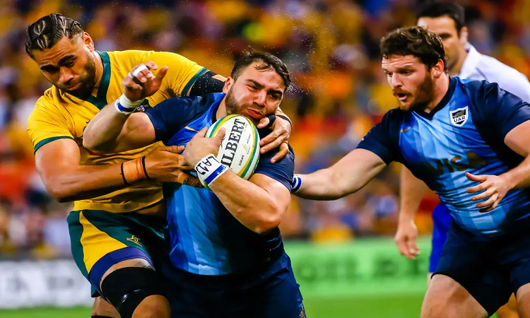 Rugby Championship: los Pumas podrán contar con los jugadores de Europa