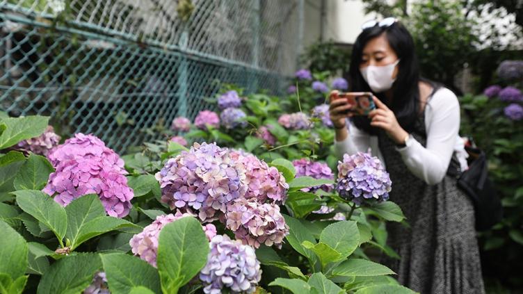 Máxima alarma en Japón por nuevo récord de casos