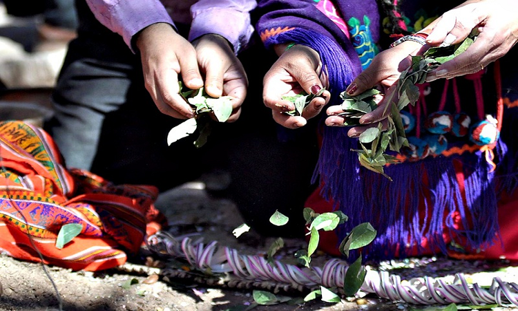 Cómo celebrar el “Día de la Pachamama” desde casa: preparan una gran ceremonia online
